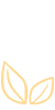 媒体荟聚